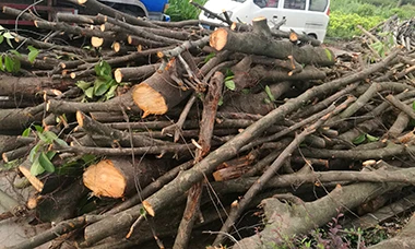 Biomass